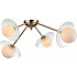 Потолочная люстра Jacqueline 3169-304