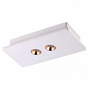 Потолочный светодиодный светильник Novotech Caro 357939