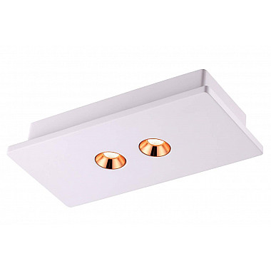 Потолочный светодиодный светильник Novotech Caro 357939