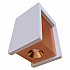 Потолочный светодиодный светильник Loft IT Architect OL1073-WG