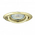 Точечные светильники Kanlux ARGUS CT-2115-YG 335