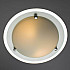 Потолочный светильник Arte Lamp A4831PL-2CC