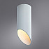 Потолочный светильник Arte Lamp Pilon A1615PL-1WH