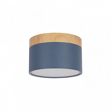 Точечный светильник Grape 10162 Blue