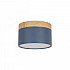 Точечный светильник Grape 10162 Blue