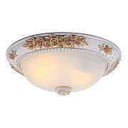 Потолочный светильник Arte Lamp Torta A7102PL-2WG