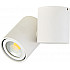 Точечный светильник Eva A1594White/RAL9003