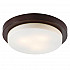 Потолочный светильник Odeon Light Holger 2744/3C