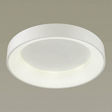 Потолочный светодиодный светильник Odeon Light Sole 4066/40CL