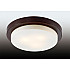 Потолочный светильник Odeon Light Holger 2744/3C