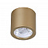 Потолочный светодиодный светильник Favourite Deorsum 2807-1C