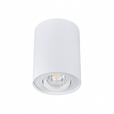 Точечные светильники Kanlux BORD DLP-50-W 22551