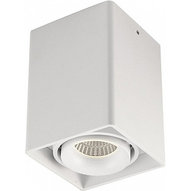 Точечный светильник Lumme DL18611/01WW-SQ White