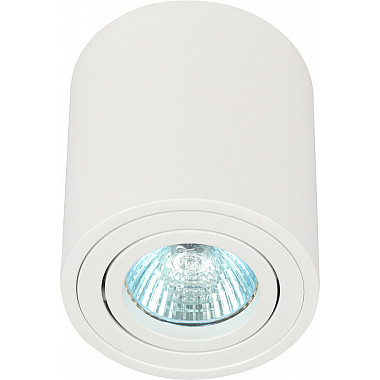 Точечный светильник OL21 WH