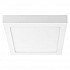 Потолочный светодиодный светильник Lightstar Zocco 324064