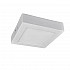 Потолочный светодиодный светильник Arte Lamp Angolo A3612PL-1WH