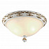 Потолочный светильник Arte Lamp Benessere A9570PL-2WG