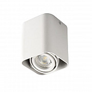 Накладные точечные светильники Kanlux TOLEO DTL50-W 26114