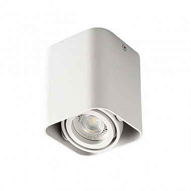 Накладные точечные светильники Kanlux TOLEO DTL50-W 26114
