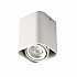 Накладные точечные светильники Kanlux TOLEO DTL50-W 26114