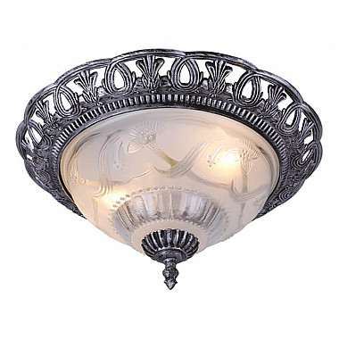 Потолочный светильник Arte Lamp Piatti A8001PL-2SB