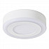 Потолочный светодиодный светильник Arte Lamp Antares A7809PL-2WH