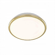 Потолочный светодиодный светильник Citilux Луна CL702162W