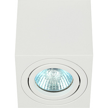 Точечный светильник OL22 WH