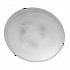 Потолочный светильник Arte Lamp Luna A3450PL-3CC