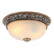Потолочный светильник Arte Lamp Torta A7141PL-2SB