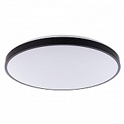 Потолочный светодиодный светильник Nowodvorski Agnes Round Led 8206