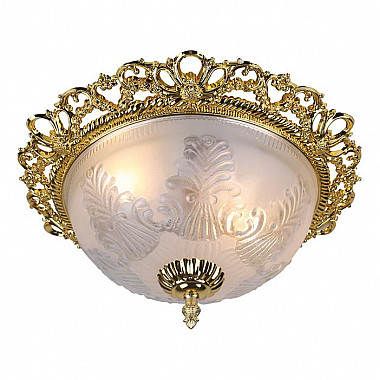 Потолочный светильник Arte Lamp Piatti A8002PL-2GO