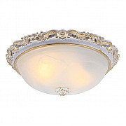 Потолочный светильник Arte Lamp Torta A7152PL-2WG