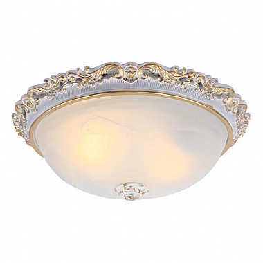 Потолочный светильник Arte Lamp Torta A7152PL-2WG