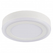 Потолочный светодиодный светильник Arte Lamp Antares A7816PL-2WH