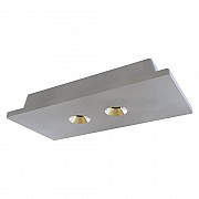 Потолочный светодиодный светильник Loft IT Architect OL1072-GH/2