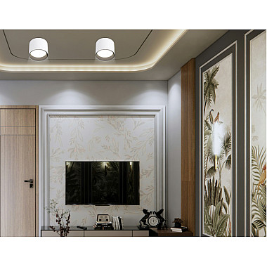 Точечный светильник Techno Spot TN5303