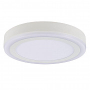 Потолочный светодиодный светильник Arte Lamp Antares A7824PL-2WH