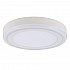 Потолочный светодиодный светильник Arte Lamp Antares A7824PL-2WH