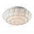 Потолочный светильник Arte Lamp Aqua A5130PL-2WH