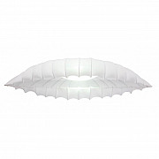 Потолочный светильник Arte Lamp Botticelli A2188PL-2CC