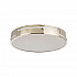 Потолочный светодиодный светильник F-Promo Pall 2744-1C
