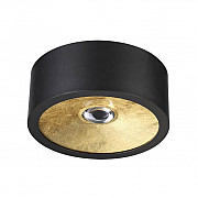Потолочный светильник Odeon Light Glasgow 3875/1CL