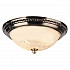 Потолочный светильник Arte Lamp 28 A3009PL-2AB