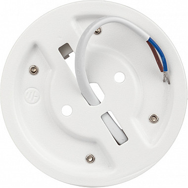 Точечный светильник OL54 WH