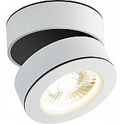 Точечный светильник Sun DL18958R25W1W