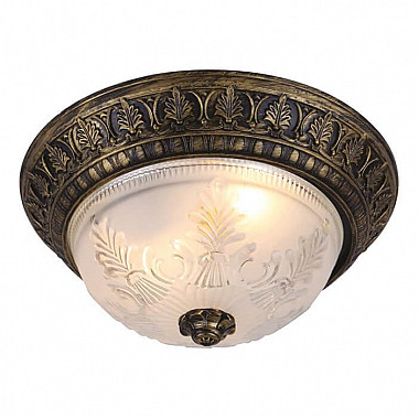 Потолочный светильник Arte Lamp Piatti A8005PL-2BN