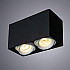 Потолочный светильник Arte Lamp Pictor A5654PL-2BK