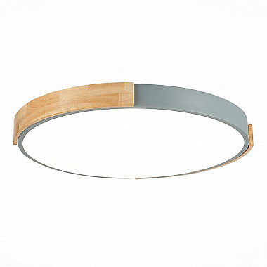 Потолочный сетодиодный светильник Evoluce Delia SLE201372-01