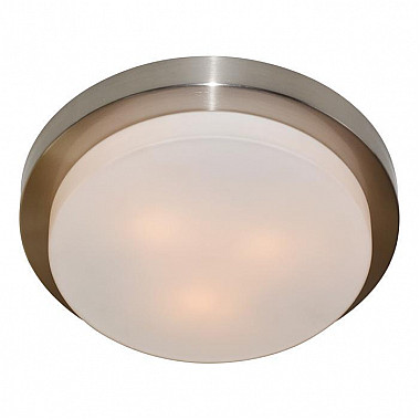 Потолочный светильник Arte Lamp Aqua A8510PL-3SS